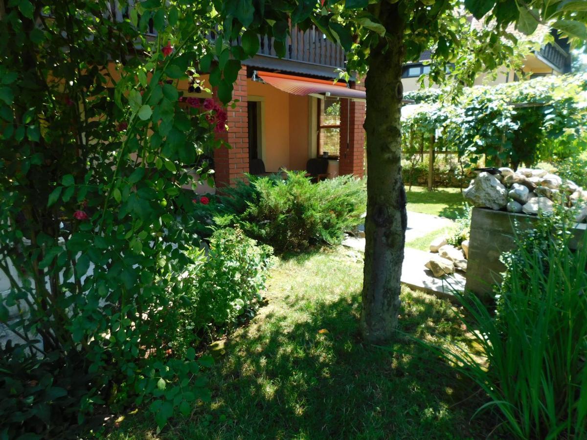Apartment Branko